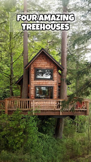 Jenna/Tiny House Giant Journey on Instagram: "Dream big in Washington state with these four incredible treehouses that you can actually stay in! 🌲✨ Which one is first on your bucket list? 🏕️ 1️⃣: @treehousewhidbey 2️⃣: @treehouserockland 3️⃣: Eagle’s Bluff Treehouse on Vashon 4️⃣: @indexcabins #treehouse #uniqueairbnb #magicalmoments"