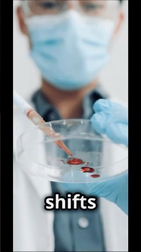 Le Chatelier’s Principle Explained: The Dance of Chemical Equilibrium