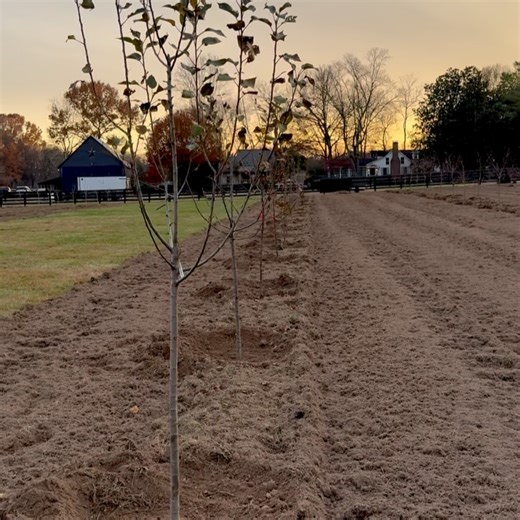 Timothy Kercheville | Orchard Program with Timothy Kercheville, Festina Lente Farms at Foundery Fields off Old Hillsboro Rd. near Historic District Leipers... | Instagram