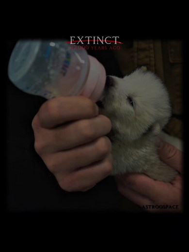 Reviving Extinct Species: Science and the Lab Experiment