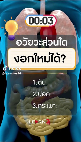อวัยวะใดในร่างกายงอกใหม่ได้?