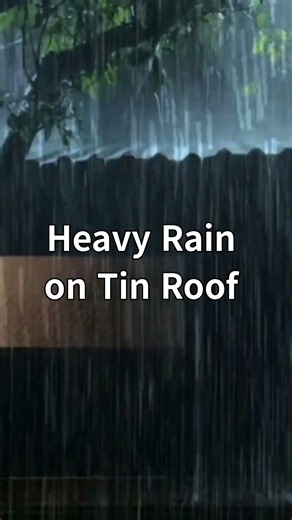 Heavy Rain on a Tin Roof ASMR 🌧️ | Rain Sounds for Deep Sleep
