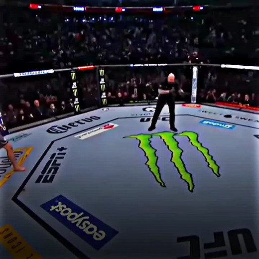 UFC Mixed Martial Arts Event Highlights