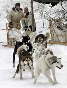 Mushing doesn’t only mean Alaska