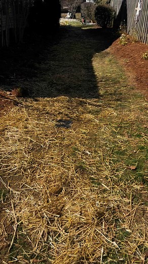 Cockrell Mulch & Landscaping on Reels