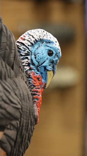 Some decoy highlights from 2026 NWTF Sport Show