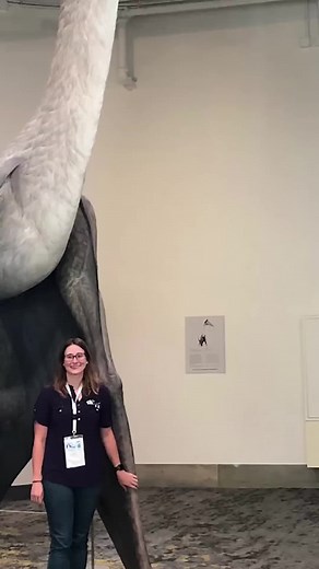 Quetzalcoatlus Was Bigger Than You Think... #extinctanimals #dinosaur #prehistoriclife #science #evolution #animals #wildlife