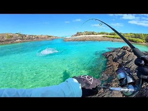 Finally a CATCH AND COOK!