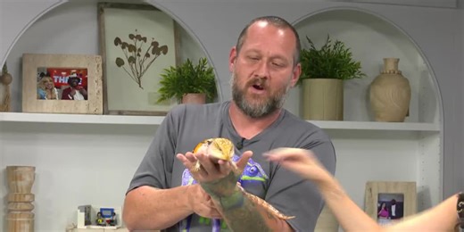 Explore exotic animals at the HERPS expo