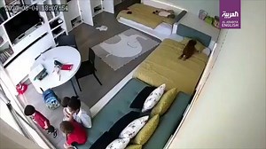 Watch: Video shows the moment a domestic worker moves to protect two of the three children she was baby-sitting as the #Beirut port explosion shattered the windows of their home. #Lebanon #BeirutBlast https://english.alarabiya.net/en/News/middle-east/2020/08/05/Beirut-blast-damages-value-ranges-between-3-5-billion-Governor.html | Al Arabiya English