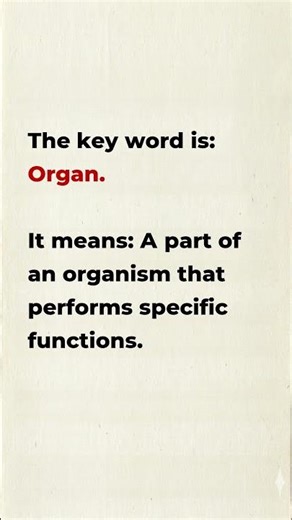 B2 Health English | Human Anatomy Overview | Keyword: Organ + Shadowing