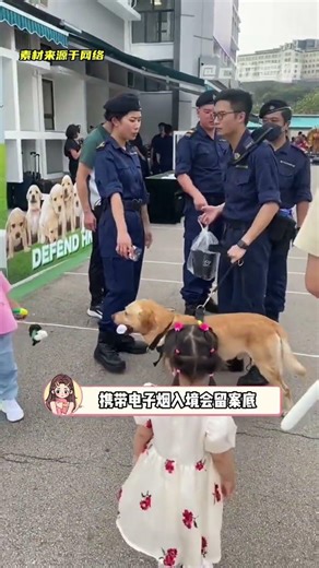 香港：重罰之下必有素質！#香港 #吸煙有害健康 #懲罰 #法律 #禁煙1