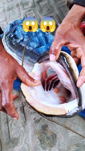 OMG 😱 ये कौन सा मछली है। very denger fish ❌ | #family #fishing