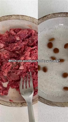 🚫 Kibble: shelf-stable, ultra-processed, and loaded with fillers. ✅ Raw: fresh, real, species-appropriate nutrition that dogs actually thrive on. Ready to make the switch? 🐶 Join the pack at The Butcher’s Dog and see the difference real food makes 🥩 Use code WELCOME25 for $25 off your first order free shipping 🚚 https://thebutchersdog.com.au 🐾 Let’s feed better, together. #TheButchersDog #RawVsKibble #JoinThePack #RealFoodForDogs #DogNutritionDoneRight | The Butcher's Dog