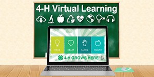 4-H Virtual Learning