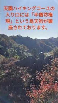 #鎌倉#鎌倉ハイキング#鎌倉ランチ#小町通り#湘南ポーク#しらす丼#鎌倉幕府#鎌倉五山#寺社巡り#鶴岡八幡宮#寿福寿#建長寺#永福寺跡#けんちん汁#トレッキング#ハイキング#ウォーニング#天園コース