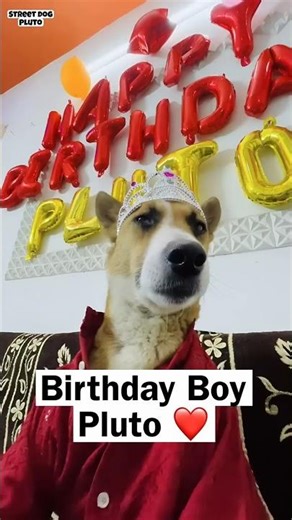 Birthday Celebration With Pluto 💥