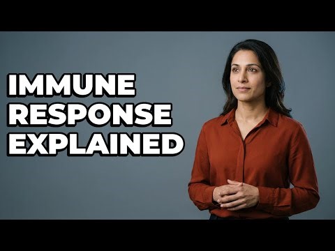 How Does the TB Blood Test Use Immune Response?