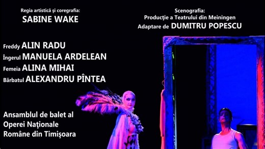 Alin Radu, povestea unei cariere