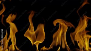 Fire and flame on alpha channel 4K. Realistic burning fire on the ground. Fire visual effect isolated on black color. Great for VFX overlay in Cinematic films using blending modes.