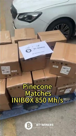 Pinecone Matches INIBOX 850 Mh/s InitVerse Miner | BT-MINERS