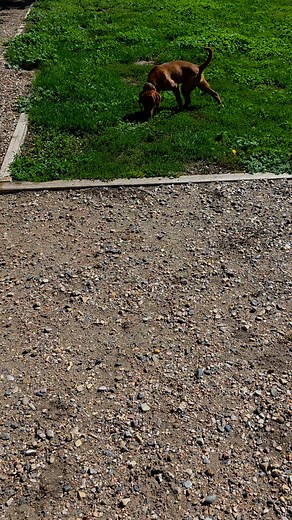 @everyone | Rascal Flats Labs