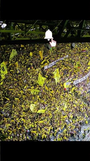 Goal !!! big crowd cheering, sound effect.