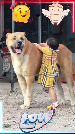 Big Dog & Baby Bonding Moments Cutest Friendship Ever
