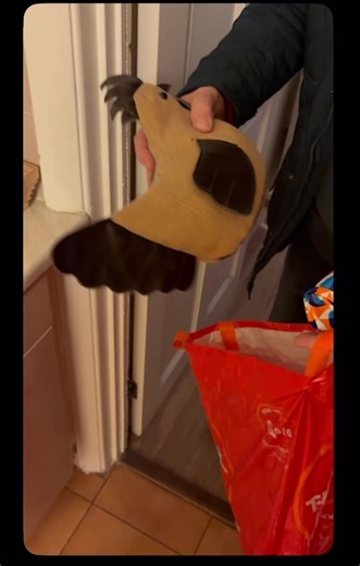 Christmas Prank on Nan