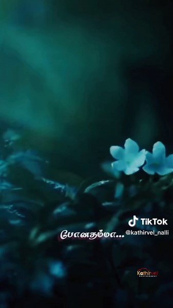 Calm Water Droplets: A Nighttime Visual Experience