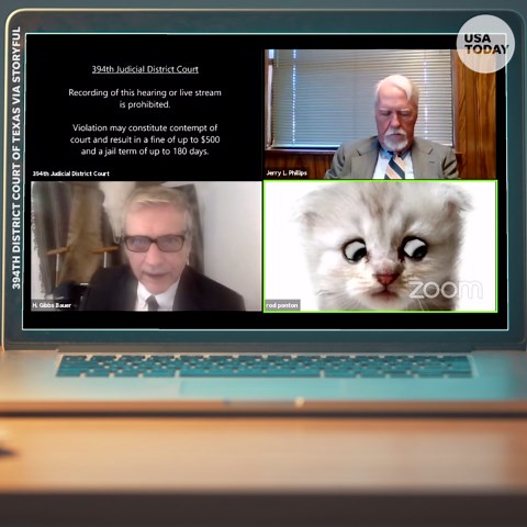 Cat filter Zoom fail: Lawyer appears in court as talking kitten