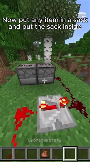 Minecraft Bedrock Edition Dupe