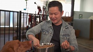 1.7K views · 28 reactions | Danny Seo explains the benefits of supplemental insurance by adding fish oil to a dog’s diet! | Naturally, Danny Seo | Facebook