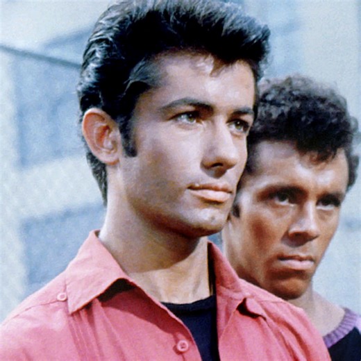Not Quite Movie Stars: George Chakiris - FilmInk