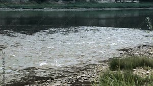 panoramic view of Dniester river near the Ustechko village and Dzhurin river, National Nature Park Dniester Canyon, Ternopil region of Western Ukraine