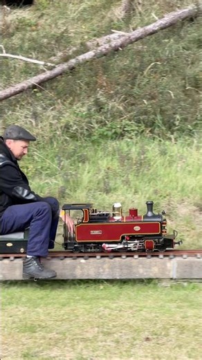 MINIATURE STEAM #TRAIN Running on the CUSTOM #miniaturerailway ! 🛤️🏡 #modelengineering
