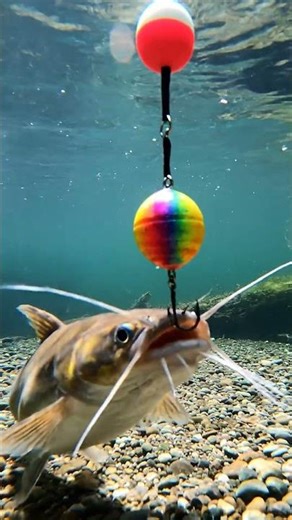 🎣 CRAZY Fish BITE! You WON'T Believe This Bait Trick! 🤯 #Fishing #Bait