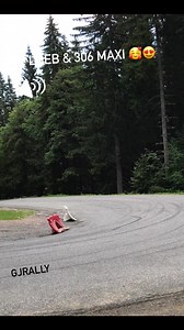 Rallye Mont Blanc 2021 - Seb Loeb 💥#Rallye #306maxi #SebastienLoeb #reelsvideoシ #carreels | GJ Rally