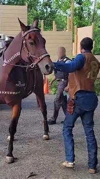 "Brannu: The Urban Horseman" Documentary Film Showcase at 50th Anniversary of Atlanta Film Festival
