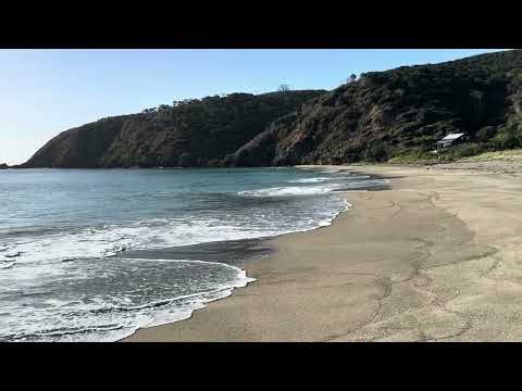 Beach cusps on a sandy beach Kawau Island Aotearoa