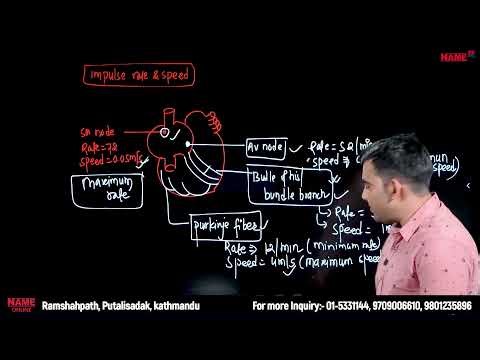 Cardiovascular System Part 2- || Name Institute||