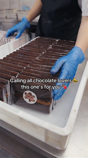 Rich, soft, and unapologetically chocolate from the first bite to the last 🍫 Made for slow moments, quiet treats, and days that call for something familiar and comforting 🤎 #chocolatelovers #chocfudgecake #dessertlover #treatyourself #cakecontent | MailBakes