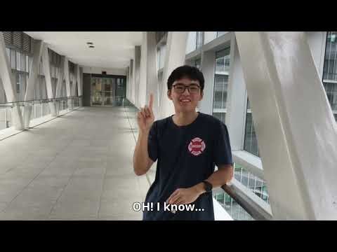 ICT1011 Group P2O Project