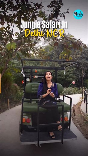 #CTDiscovery Jungle Safari In Delhi NCR Save this for a smart, budget-friendly day out 🌿 Jungle Trail, a jungle-themed park in Noida, is made entirely using waste and recycled items. Here, you can explore continent-based zones, enjoy adventure activities, take a golf cart tour across the park, and grab a bite at the in-house cafés. It’s educational, fun, and suitable for all age groups — without leaving Delhi NCR. 📍 Under Mahamaya Flyover, Sector 94, Noida, Uttar Pradesh 201301 #JungleTrail #N