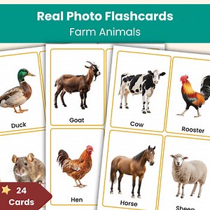 Farm Animals Flashcards – 24 Printable Vocabulary Cards