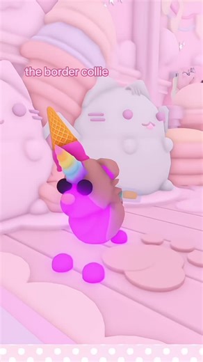 Adopting a Perfect Border Collie