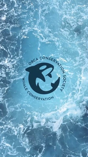 397K views · 6.4K reactions | Stuning way to use ellipse tool #illustrator #graphics | Graphics World | Facebook