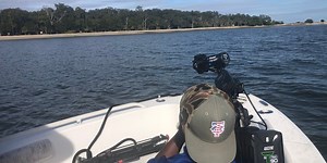 Rep. Mace wants testing to stop on monkeys from Lowcountry island