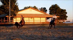 5.8K views · 90 reactions | For Sale - Gorgeous Ranch - Rope - Parade...