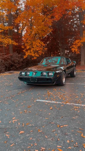 9.4K views · 21 reactions | 1979 TRANS AM FOR SALE SOON! Subscribers have first access to buy it now! #cars #classics #classiccarsforsale #classiccars #transam #vintage #vintagecars | Bob Evans Classics | Facebook